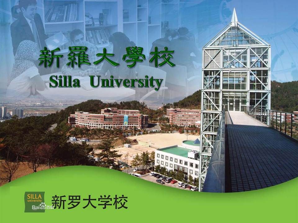 新罗大学简介